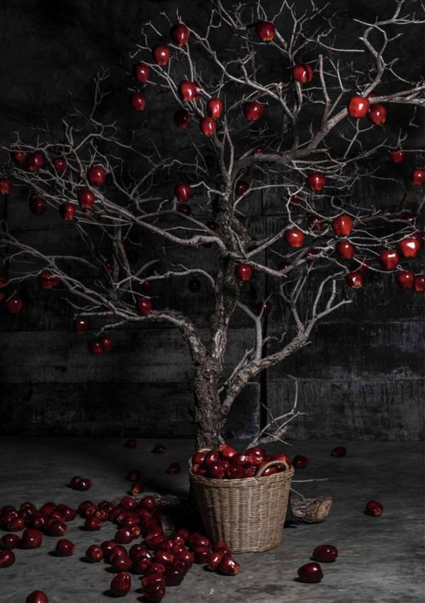 XPERIMENT-16--The-Apple-Picker